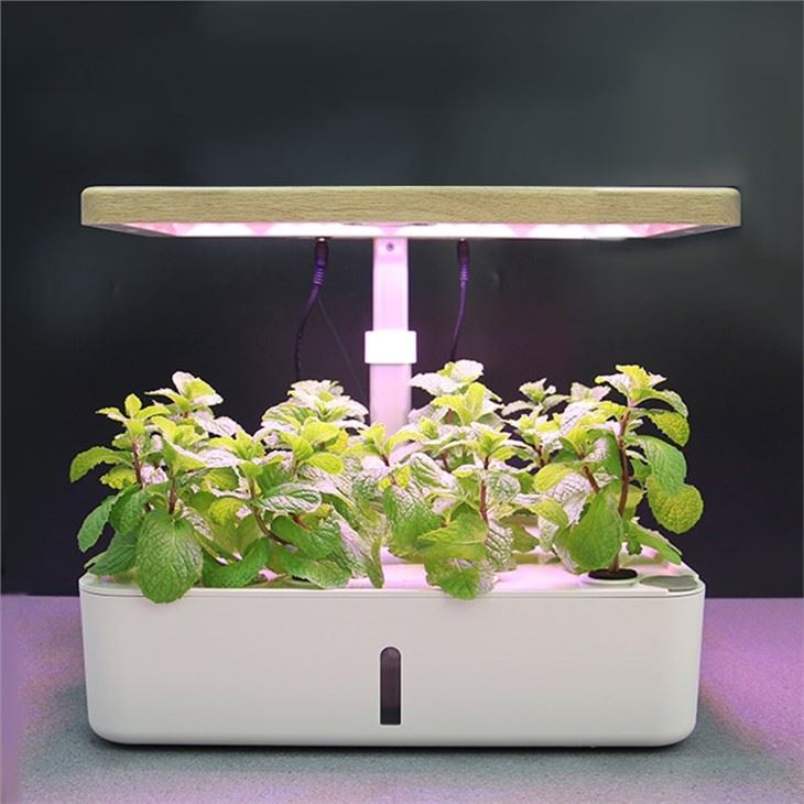 12-istutuskone Smart Garden LEDillä