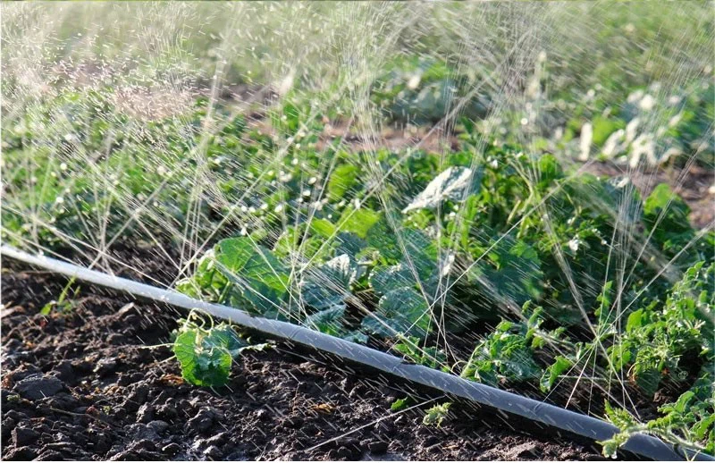 H77d604ca0e464eb08a079d500f22e521a H77d604ca0e464eb08a079d500f22e521a