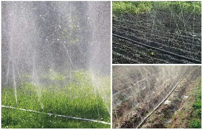 Haef6561abe524e938bd4f7ebfe46bc93y Haef6561abe524e938bd4f7ebfe46bc93y